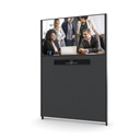 MeetingWall Basic Sony BZ30