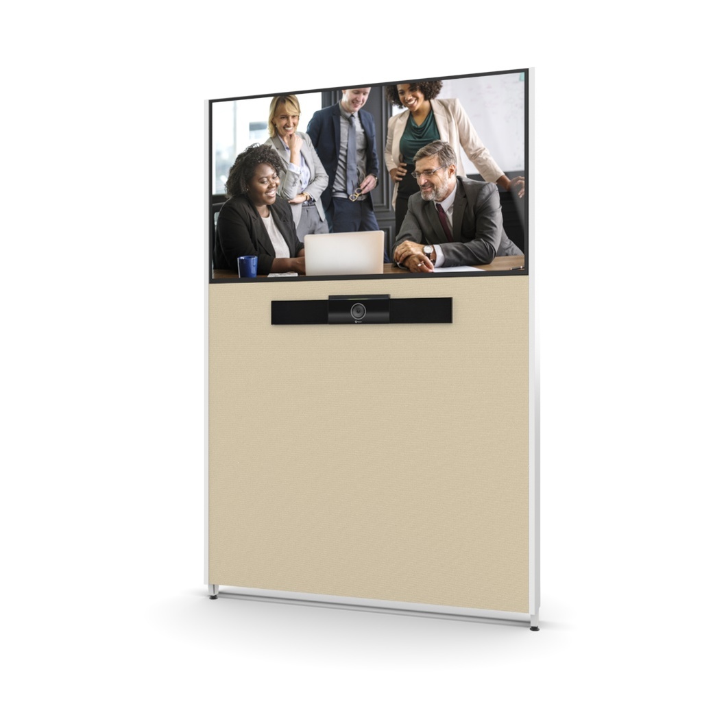 MeetingWall Basic Sony BZ30