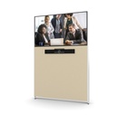 MeetingWall Basic Sony BZ30